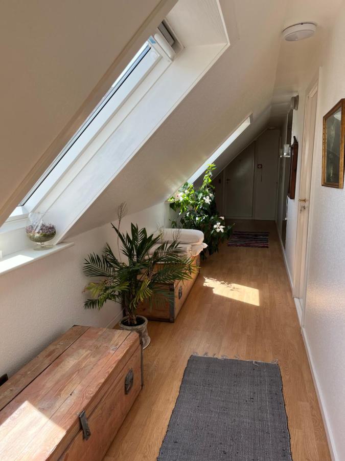 Munkebo B&B, Thy Thisted Eksteriør bilde